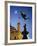 Eros statue, Piccadilly Circus, London, England-Rex Butcher-Framed Photographic Print