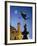 Eros statue, Piccadilly Circus, London, England-Rex Butcher-Framed Photographic Print