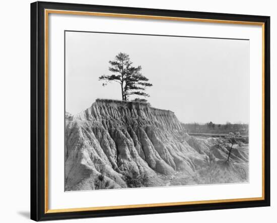 Erosion near Jackson, Mississippi, 1936-Walker Evans-Framed Photographic Print