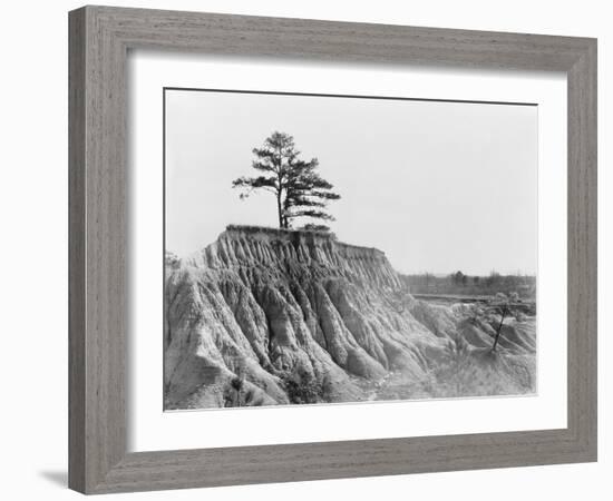 Erosion near Jackson, Mississippi, 1936-Walker Evans-Framed Photographic Print