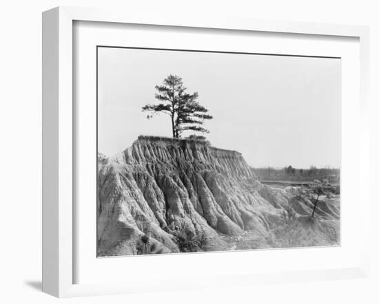 Erosion near Jackson, Mississippi, 1936-Walker Evans-Framed Photographic Print