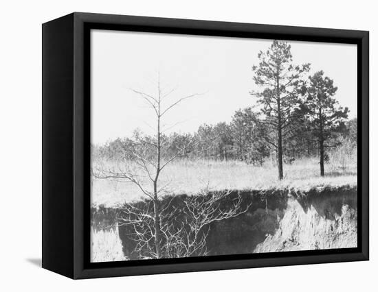 Erosion near Oxford, Mississippi, 1936-Walker Evans-Framed Premier Image Canvas