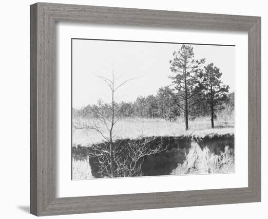 Erosion near Oxford, Mississippi, 1936-Walker Evans-Framed Photographic Print