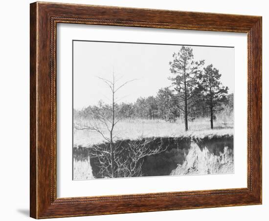 Erosion near Oxford, Mississippi, 1936-Walker Evans-Framed Photographic Print