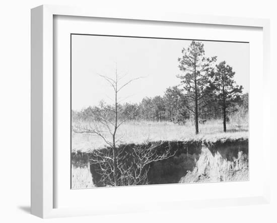 Erosion near Oxford, Mississippi, 1936-Walker Evans-Framed Photographic Print