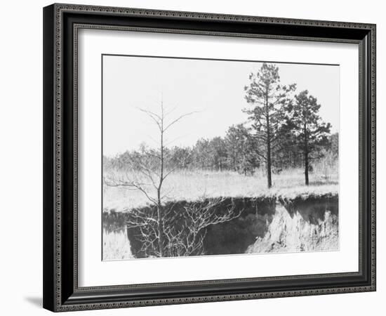 Erosion near Oxford, Mississippi, 1936-Walker Evans-Framed Photographic Print