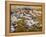 Erosion Patterns-David Jay Zimmerman-Framed Premier Image Canvas