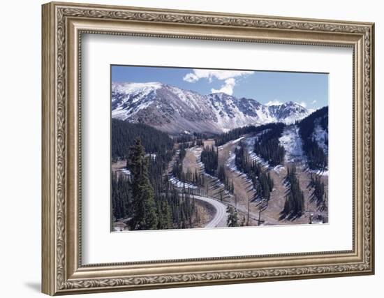 Erosion Prevention, Contoured Bands of Trees Unfelled, Also Acting as Fire Break, Colorado-Walter Rawlings-Framed Photographic Print