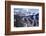 Erosion Prevention, Contoured Bands of Trees Unfelled, Also Acting as Fire Break, Colorado-Walter Rawlings-Framed Photographic Print