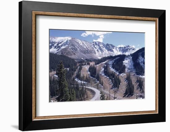 Erosion Prevention, Contoured Bands of Trees Unfelled, Also Acting as Fire Break, Colorado-Walter Rawlings-Framed Photographic Print