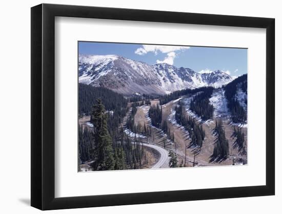 Erosion Prevention, Contoured Bands of Trees Unfelled, Also Acting as Fire Break, Colorado-Walter Rawlings-Framed Photographic Print