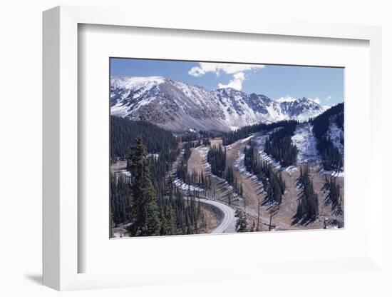 Erosion Prevention, Contoured Bands of Trees Unfelled, Also Acting as Fire Break, Colorado-Walter Rawlings-Framed Photographic Print
