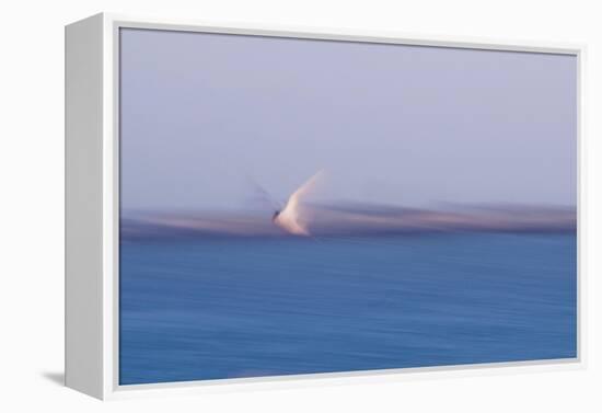 Errant Wings-Jacob Berghoef-Framed Premier Image Canvas