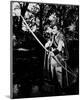 Errol Flynn - The Adventures of Robin Hood-null-Mounted Photo