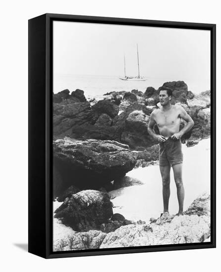 Errol Flynn-null-Framed Stretched Canvas