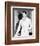 Errol Flynn-null-Framed Photo