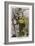 Erroll Flynn in "The Adventures of Robin Hood" 1938-null-Framed Art Print