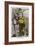 Erroll Flynn in "The Adventures of Robin Hood" 1938-null-Framed Art Print