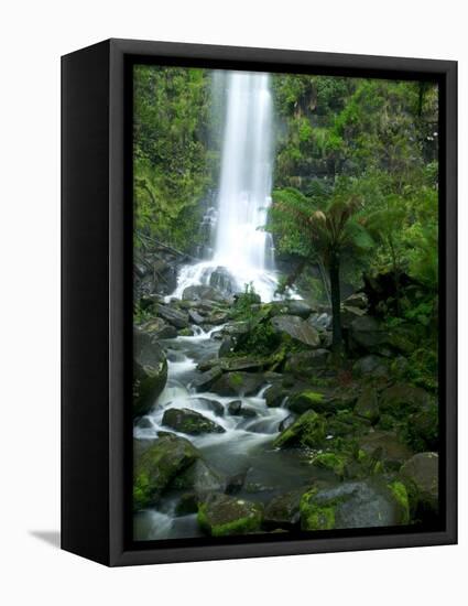 Erskine Falls, Waterfall in the Rainforest, Great Ocean Road, South Australia, Australia-Thorsten Milse-Framed Premier Image Canvas