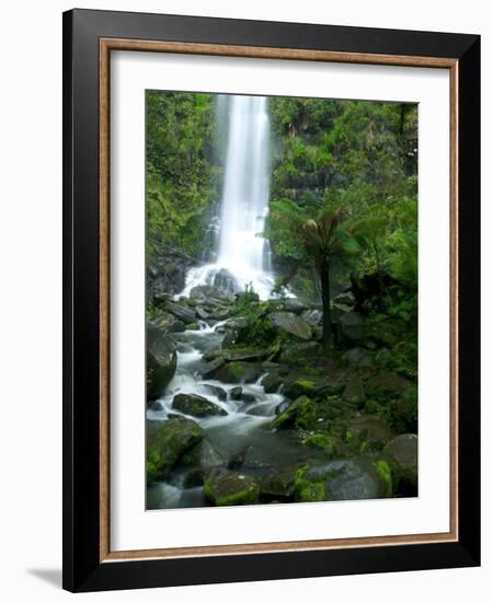 Erskine Falls, Waterfall in the Rainforest, Great Ocean Road, South Australia, Australia-Thorsten Milse-Framed Photographic Print