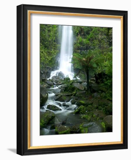 Erskine Falls, Waterfall in the Rainforest, Great Ocean Road, South Australia, Australia-Thorsten Milse-Framed Photographic Print