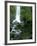 Erskine Falls, Waterfall in the Rainforest, Great Ocean Road, South Australia, Australia-Thorsten Milse-Framed Photographic Print