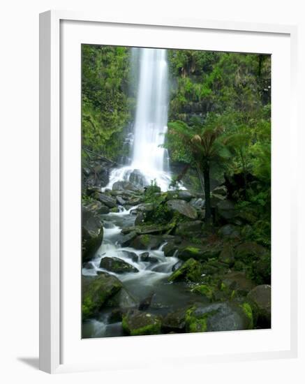 Erskine Falls, Waterfall in the Rainforest, Great Ocean Road, South Australia, Australia-Thorsten Milse-Framed Photographic Print