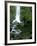 Erskine Falls, Waterfall in the Rainforest, Great Ocean Road, South Australia, Australia-Thorsten Milse-Framed Photographic Print