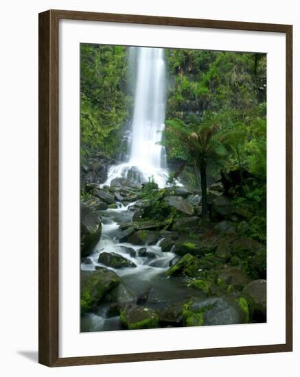 Erskine Falls, Waterfall in the Rainforest, Great Ocean Road, South Australia, Australia-Thorsten Milse-Framed Photographic Print