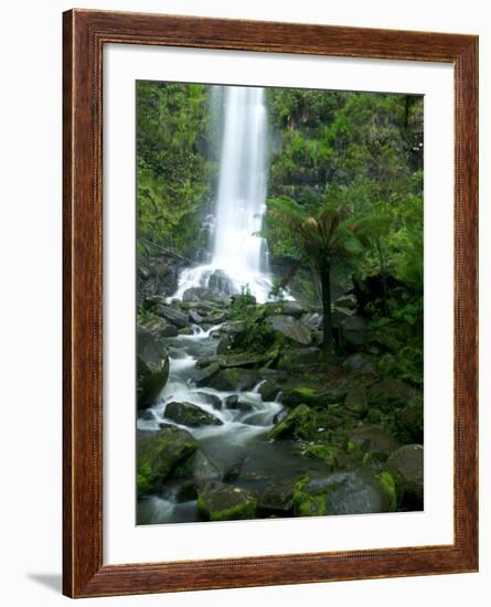 Erskine Falls, Waterfall in the Rainforest, Great Ocean Road, South Australia, Australia-Thorsten Milse-Framed Photographic Print