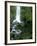 Erskine Falls, Waterfall in the Rainforest, Great Ocean Road, South Australia, Australia-Thorsten Milse-Framed Photographic Print