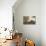 Erstwhile Barn II-Megan Meagher-Premium Giclee Print displayed on a wall