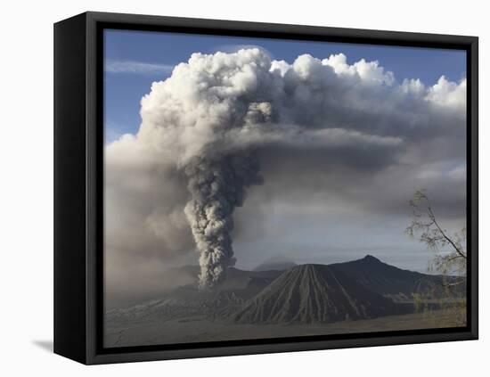 Eruption of Ash Cloud from Mount Bromo Volcano, Tengger Caldera, Java, Indonesia-Stocktrek Images-Framed Premier Image Canvas