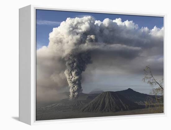 Eruption of Ash Cloud from Mount Bromo Volcano, Tengger Caldera, Java, Indonesia-Stocktrek Images-Framed Premier Image Canvas