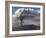 Eruption of Ash Cloud from Mount Bromo Volcano, Tengger Caldera, Java, Indonesia-Stocktrek Images-Framed Photographic Print