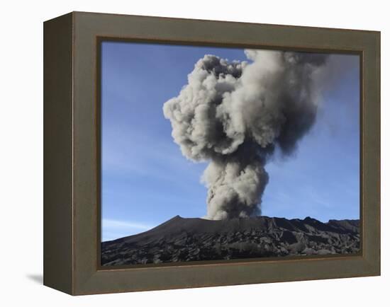 Eruption of Ash Cloud from Mount Bromo Volcano, Tengger Caldera, Java, Indonesia-Stocktrek Images-Framed Premier Image Canvas