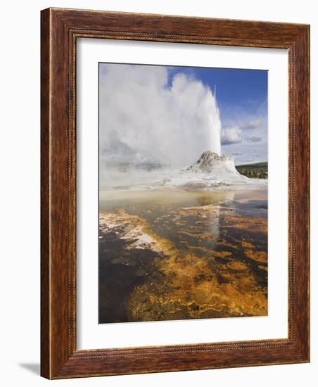 Eruption of Castle Geyser, Upper Geyser Basin, Yellowstone National Park, Wyoming, USA-Neale Clarke-Framed Photographic Print