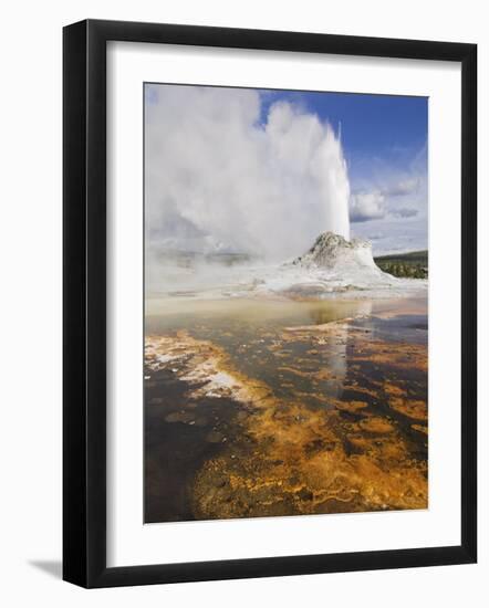 Eruption of Castle Geyser, Upper Geyser Basin, Yellowstone National Park, Wyoming, USA-Neale Clarke-Framed Photographic Print