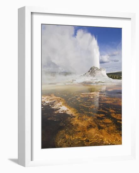 Eruption of Castle Geyser, Upper Geyser Basin, Yellowstone National Park, Wyoming, USA-Neale Clarke-Framed Photographic Print