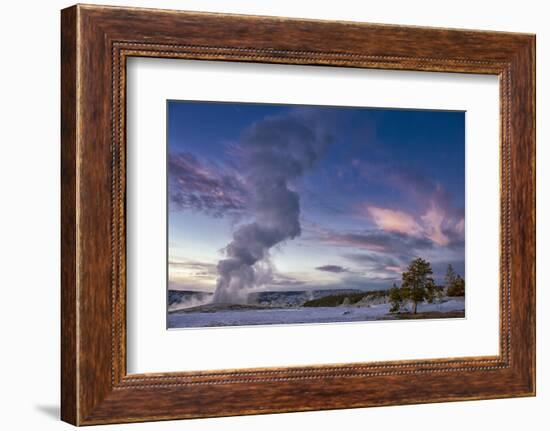 Eruption of Old Faithful Geyser after Sunset. Yellowstone National Park, Wyoming.-Tom Norring-Framed Photographic Print