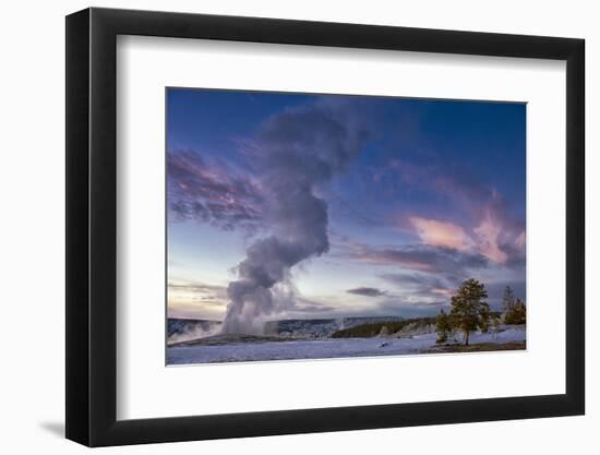 Eruption of Old Faithful Geyser after Sunset. Yellowstone National Park, Wyoming.-Tom Norring-Framed Photographic Print