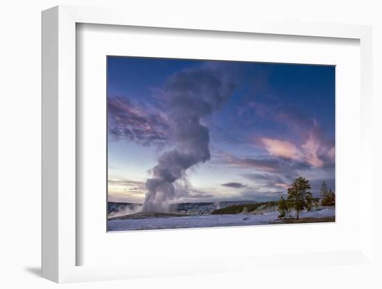 Eruption of Old Faithful Geyser after Sunset. Yellowstone National Park, Wyoming.-Tom Norring-Framed Photographic Print