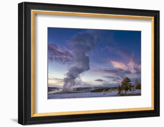 Eruption of Old Faithful Geyser after Sunset. Yellowstone National Park, Wyoming.-Tom Norring-Framed Photographic Print