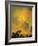 Eruption of Vesuvius-Pierre-Jacques Volaire-Framed Giclee Print