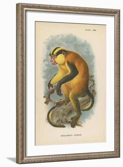 Erxleben's Guenon-null-Framed Giclee Print