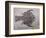 Eryon Arctiformis Crab Fossil-Naturfoto Honal-Framed Photographic Print