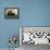 Es Cargot-Leah Saulnier-Framed Premier Image Canvas displayed on a wall