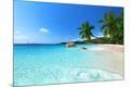 Photographic Print