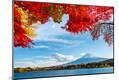 Photographic Print