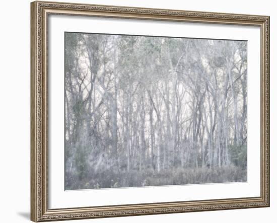 Escalante Trees-Chris Dunker-Framed Giclee Print